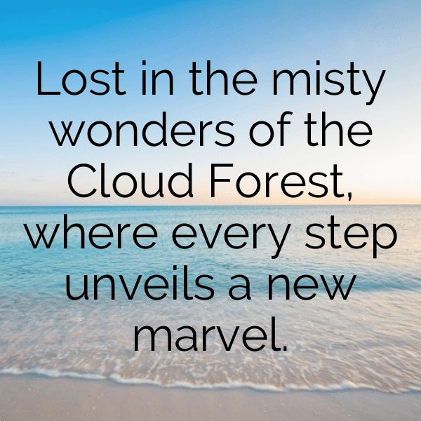 Cloud Watching Captions Photo for Instagram-4R3SyX