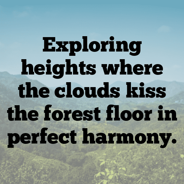 327+ Cloudberry Captions For Instagram (Short, Trending & Viral) 12 Cloudberry Captions Image For Instagram-zzvCZZ