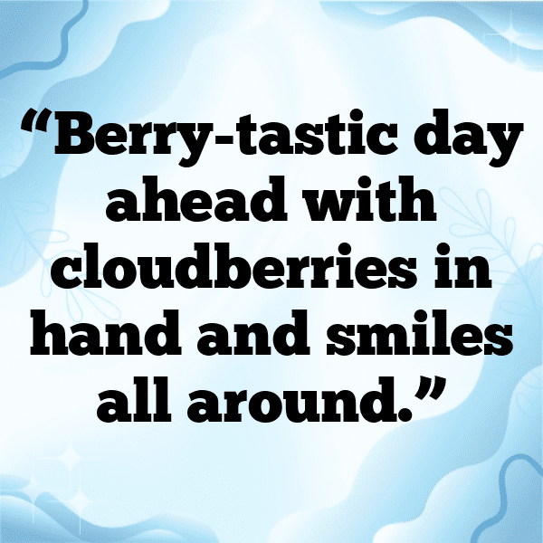 327+ Cloudberry Captions For Instagram (Short, Trending & Viral) 6 Cloudberry Captions Photo For Instagram-3jhkWc