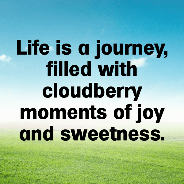 327+ Cloudberry Captions For Instagram (Short, Trending & Viral) 7 Cloudberry Captions Photo For Instagram-Dp2Un7