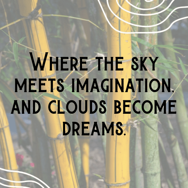 327+ Cloudberry Captions For Instagram (Short, Trending & Viral) 3 Cloudberry Captions Photo For Instagram-Ihlser