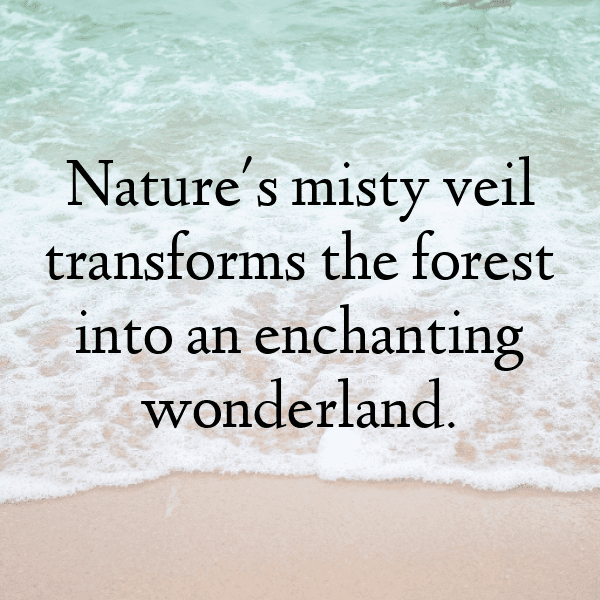 327+ Cloudberry Captions For Instagram (Short, Trending & Viral) 11 Cloudberry Captions Photo For Instagram-WPCYnc