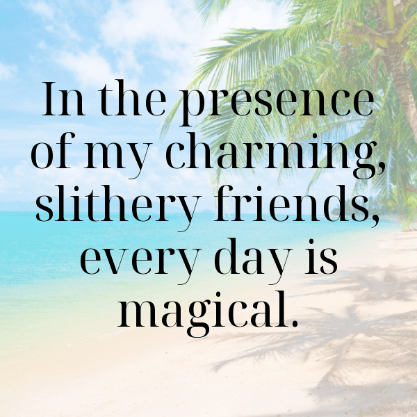 Cobra Captions Photo For Instagram-iiONGx