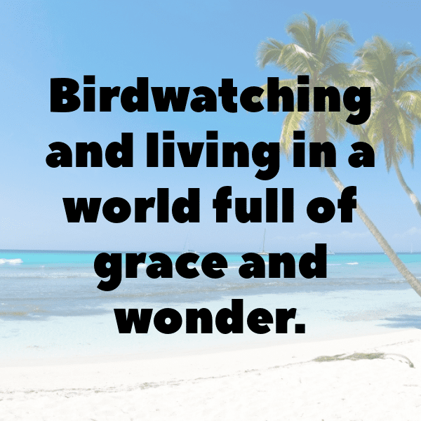 Cockatoo Captions Image For Instagram-bidQAq