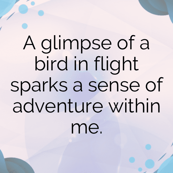 Cockatoo Captions Image For Instagram-fZFKAk