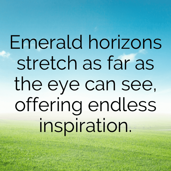 Collard Greens Captions Image For Instagram-zppVvK