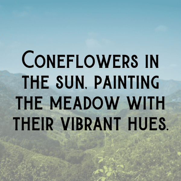 315+ Coneflower Captions For Instagram (Best, Funny & Short) 5 Coneflower Captions Image For Instagram-5bQoOi