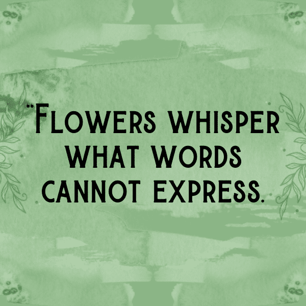 315+ Coneflower Captions For Instagram (Best, Funny & Short) 7 Coneflower Captions Image For Instagram-oLY65e