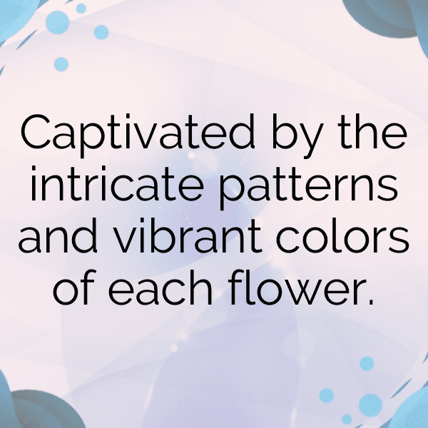 315+ Coneflower Captions For Instagram (Best, Funny & Short) 15 Coneflower Captions Image For Instagram-OQKHkt