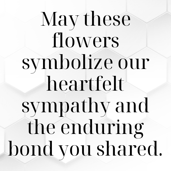 315+ Coneflower Captions For Instagram (Best, Funny & Short) 12 Coneflower Captions Image For Instagram-QqaMGw