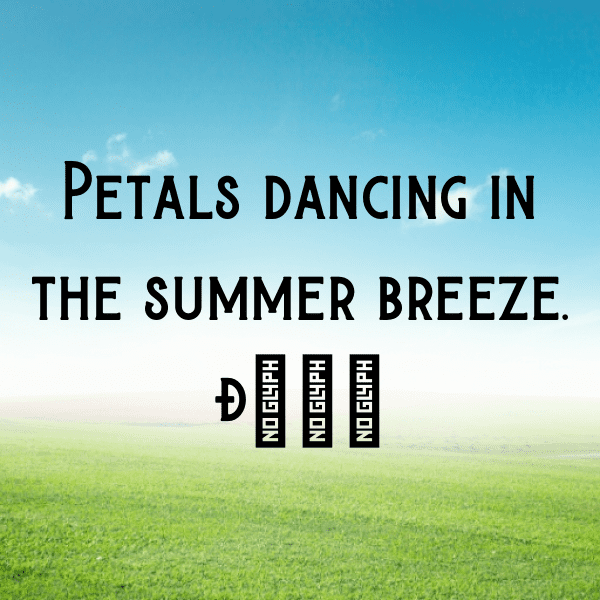 315+ Coneflower Captions For Instagram (Best, Funny & Short) 9 Coneflower Captions Photo For Instagram-pgcVDT