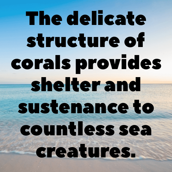 Coral Captions Image For Instagram-3FURBK