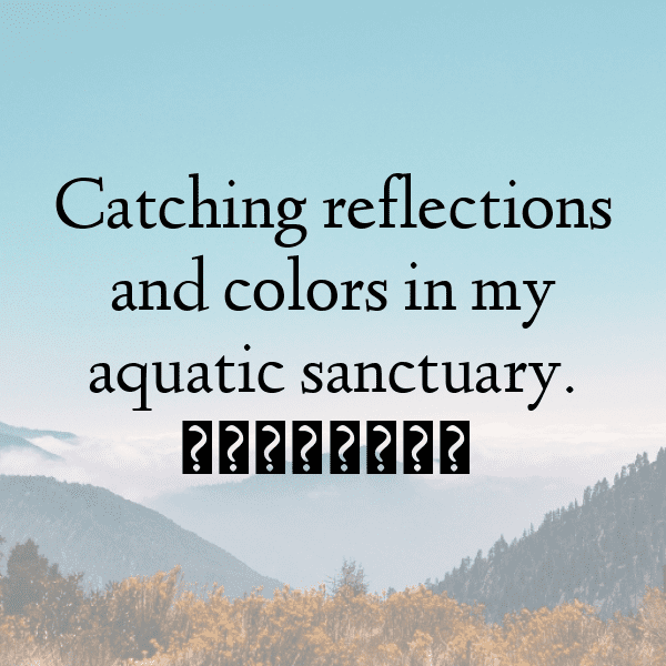 Coral Captions Image For Instagram-lF1Ub5