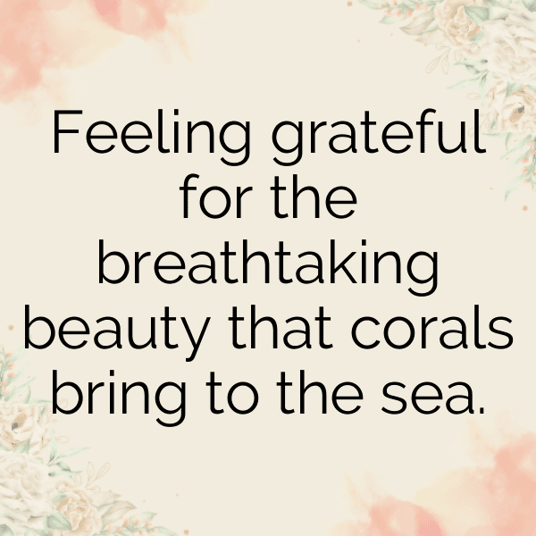 Coral Captions Photo For Instagram-BhyqvE