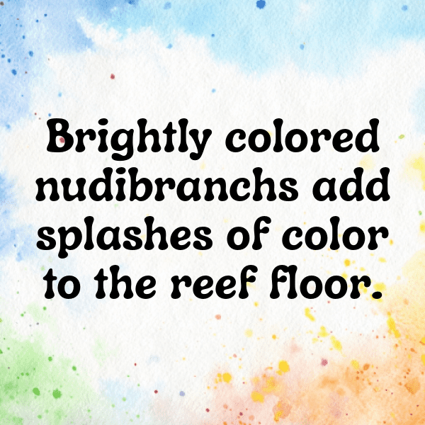 Coral Captions Photo For Instagram-Hv792F