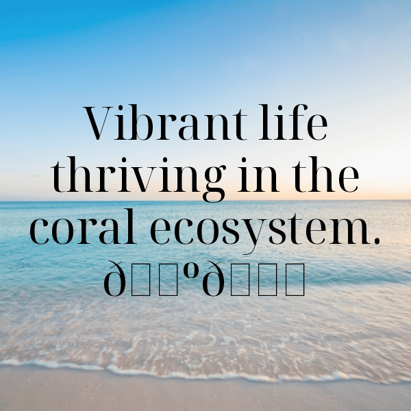 Coral Reef Captions Image for Instagram-8wJCv5