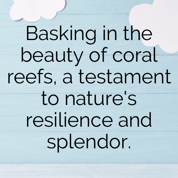 Coral Reef Captions Photo for Instagram-crnbEO