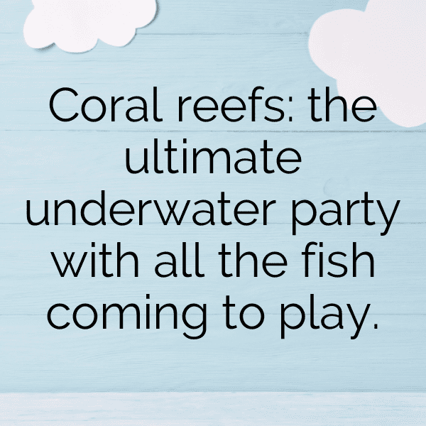 Coral Reef Captions Photo for Instagram-xF5HWb