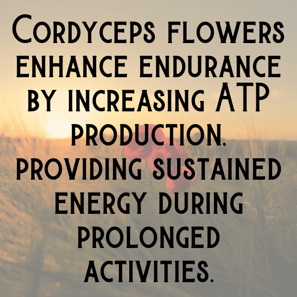 Coreopsis Captions Image For Instagram-xTrBnR