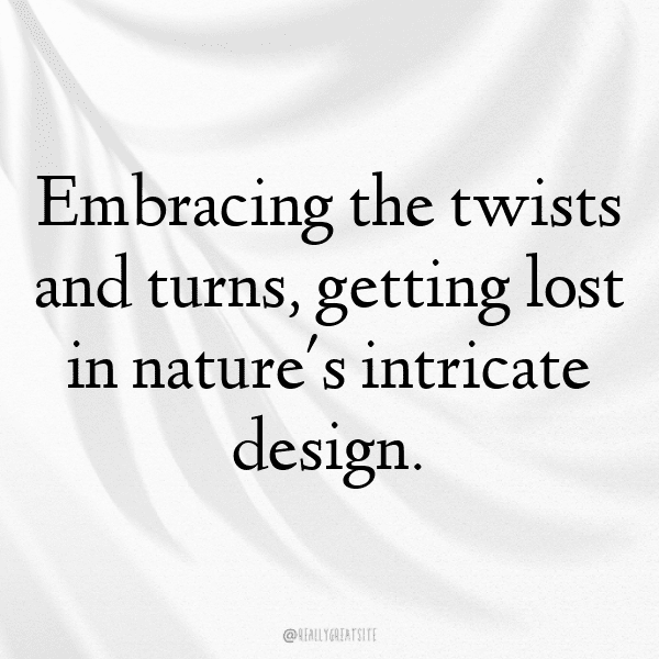 343+ Corn Captions For Instagram (Trending, Funny & Top) 15 Corn Captions Image For Instagram-fceAMc