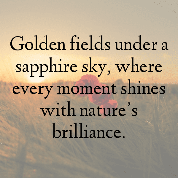 343+ Corn Captions For Instagram (Trending, Funny & Top) 18 Corn Captions Image For Instagram-zLhVo5