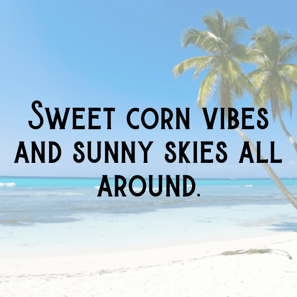 343+ Corn Captions For Instagram (Trending, Funny & Top) 9 Corn Captions Photo For Instagram-2o3H7I