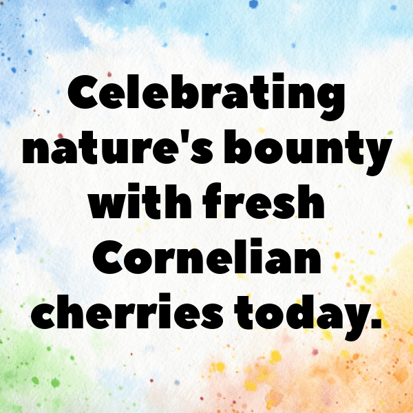 241+ Cornelian Cherry Captions For Instagram (Short, Trending & Viral) 4 Cornelian Cherry Captions Image For Instagram-7p7qF9