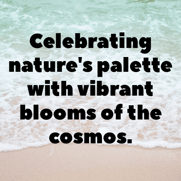 215+ Cosmos Captions For Instagram (Best, Funny & Short) 16 Cosmos Captions Image For Instagram-IfeEj3