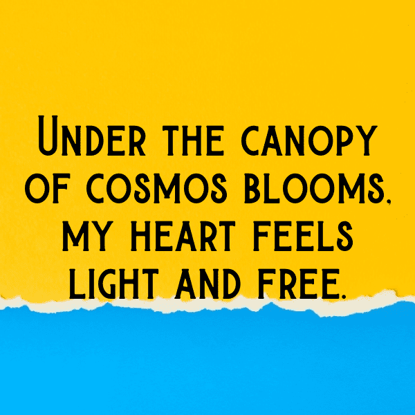 215+ Cosmos Captions For Instagram (Best, Funny & Short) 15 Cosmos Captions Image For Instagram-Qy5kOe