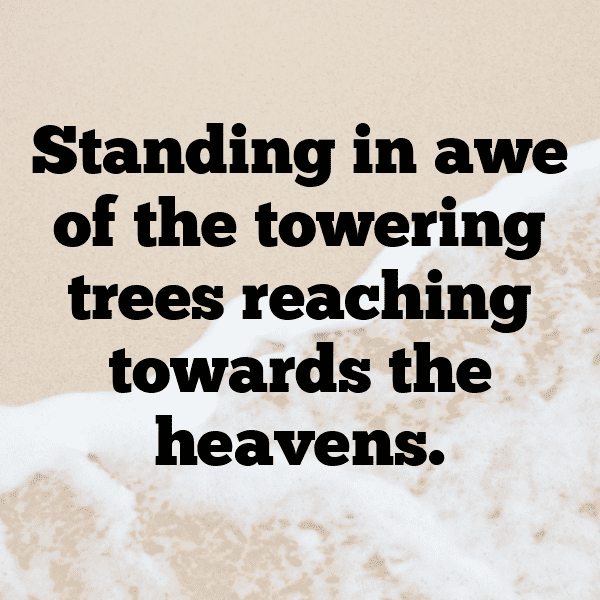 Countryside Captions Photo for Instagram-96I4Ef