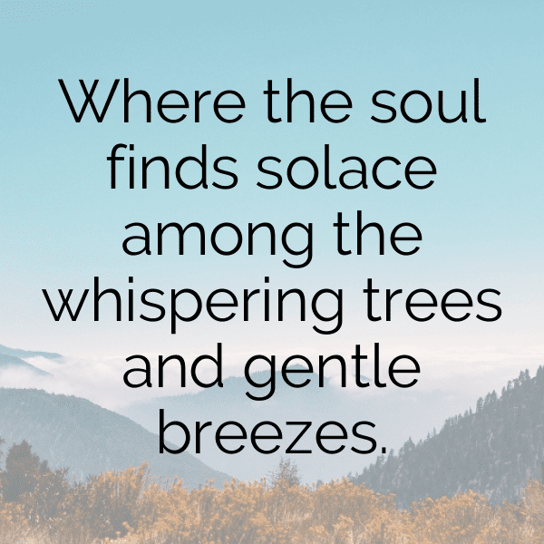 Countryside Captions Photo for Instagram-v1R19M