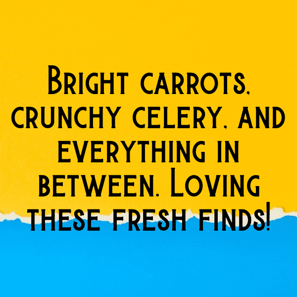 Courgette Captions Photo For Instagram-f6C2uU