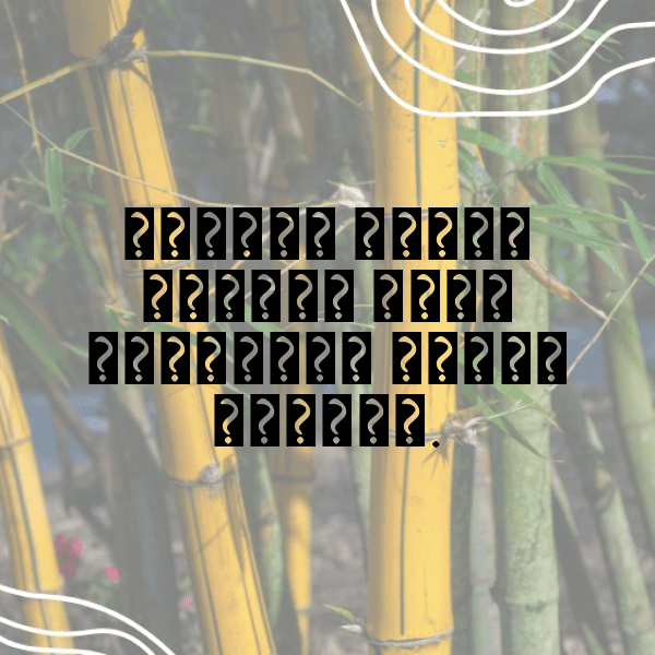 231+ Cow Captions For Instagram In 2025 15 Cow Captions Image For Instagram-9Z6HIl