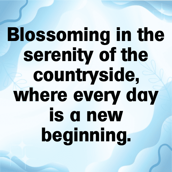 231+ Cow Captions For Instagram In 2025 4 Cow Captions Image For Instagram-TWdwA8