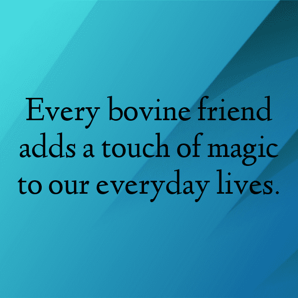 231+ Cow Captions For Instagram In 2025 3 Cow Captions Photo For Instagram-aZpVsl