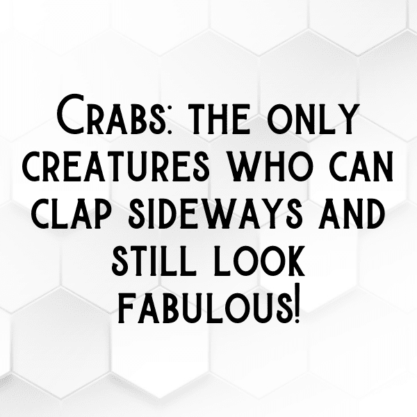 Crab Captions Photo For Instagram-jOg62k