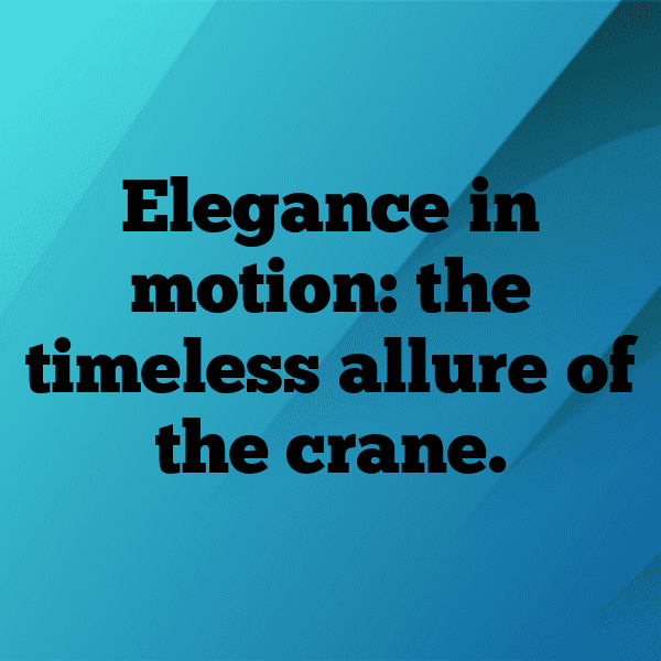 Crane Captions Photo For Instagram-xi3MFN