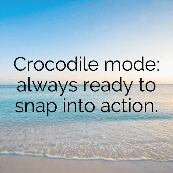 Crocodile Captions Image For Instagram-7UNrQO