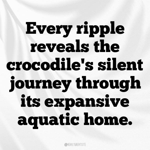 Crocodile Captions Photo For Instagram-lgeHvU
