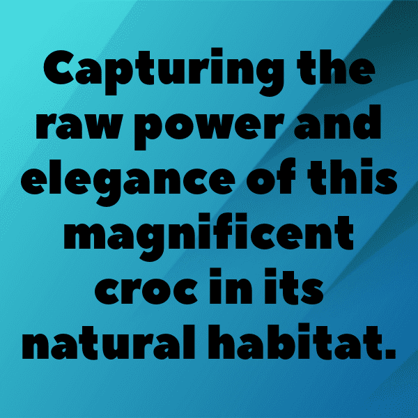 Crocodile Captions Photo For Instagram-SjrV4F