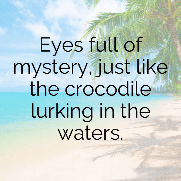 Crocodile Captions Photo For Instagram-u2yEea