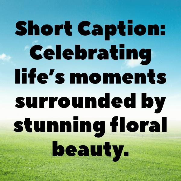 Crocus Captions Image For Instagram-39davU