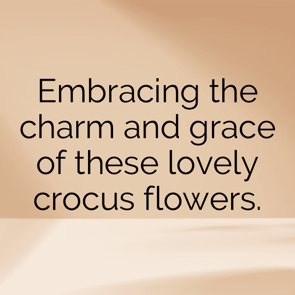 Crocus Captions Image For Instagram-7v1Fpu