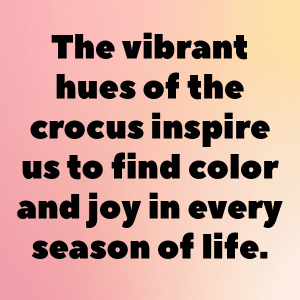 Crocus Captions Image For Instagram-r7xCZ4