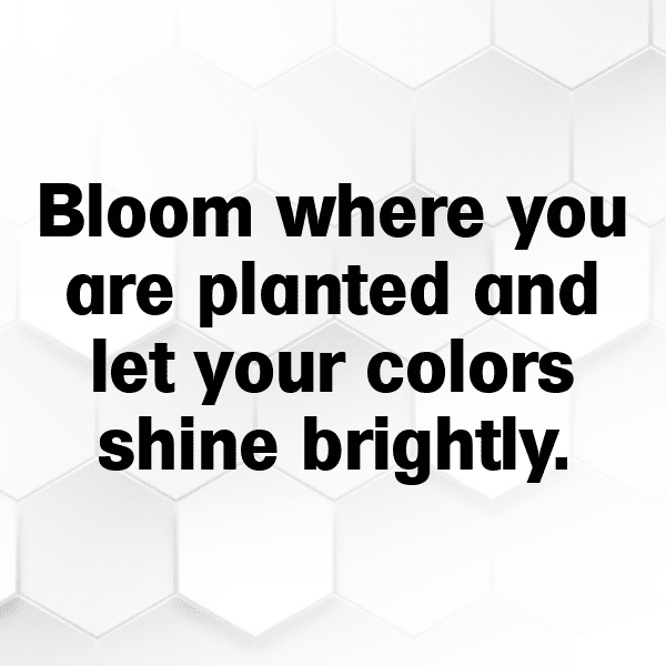 Crocus Captions Photo For Instagram-tPcG7x