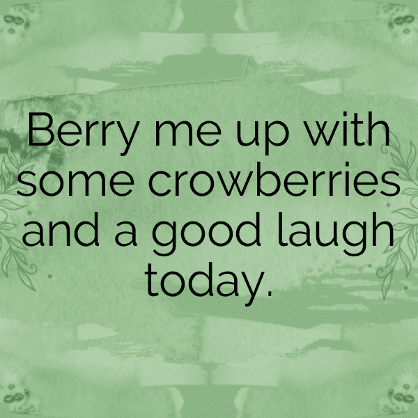 Crowberry Captions Image For Instagram-OSdi40