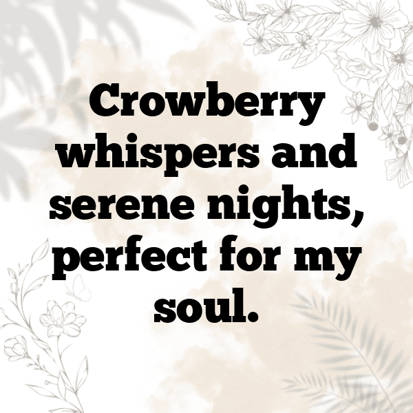 Crowberry Captions Image For Instagram-tnlN1H