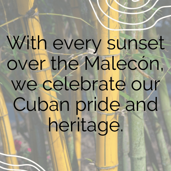 206+ Cuba Captions For Instagram (Trending, Funny & Top) 14 Cuba Captions Image For Instagram-jKRZxV