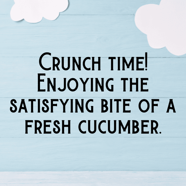 287+ Cucumber Captions For Instagram (Trending, Funny & Top) 8 Cucumber Captions Image For Instagram-vakxbM