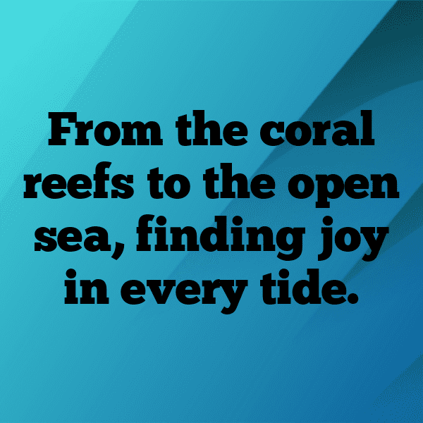 287+ Cucumber Captions For Instagram (Trending, Funny & Top) 12 Cucumber Captions Photo For Instagram-b6KTcU